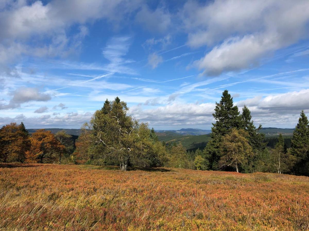 Kiefernweg Winterberg
